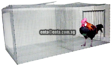 Chicken trap