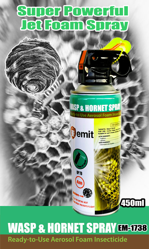 http://www.enta.com.sg/EM1738-Wasp-and-hornet-spray.jpg
